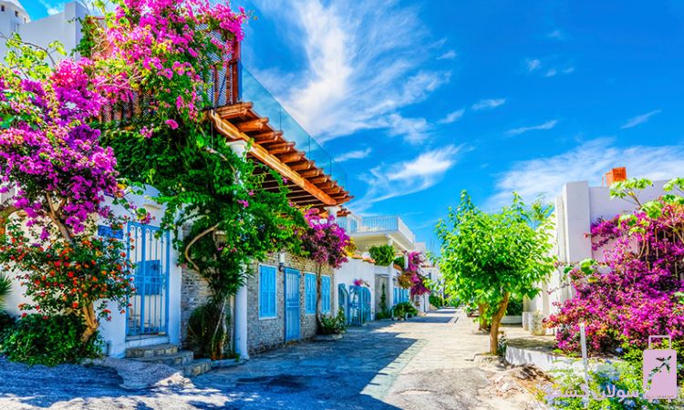 تور بدروم اقساطی