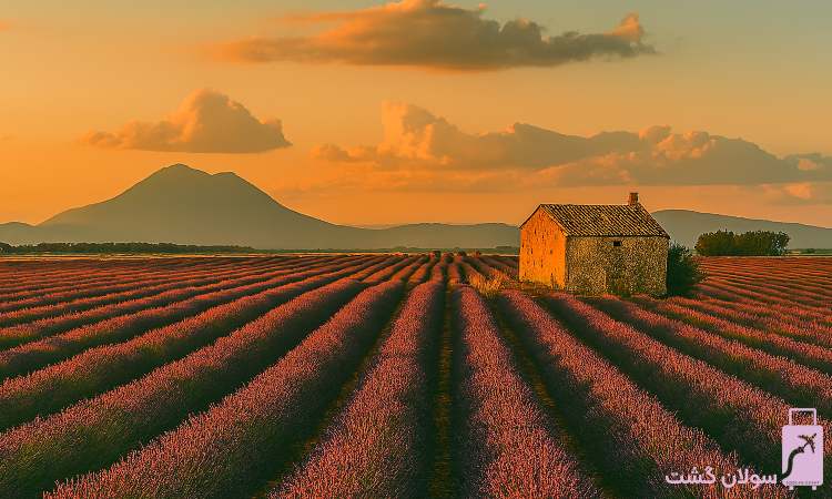 نکات فرهنگی مهم برای دانشجویان تازه وارد به فرانسه