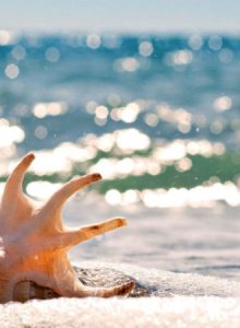 تور چابهار 3شب و4روز