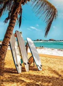 تور سریلانکا نوروز