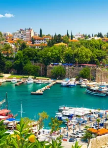 منطقه کالیچی